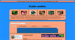 Desktop Screenshot of oczkowodne.net